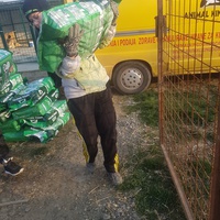 photo de livraison pour Udruženje za zaštitu životinja "Pongo"