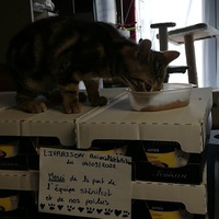 photo de livraison pour Stérilcat 80