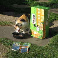 photo de livraison pour Jardin des Chats