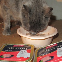 photo de livraison pour Jardin des Chats