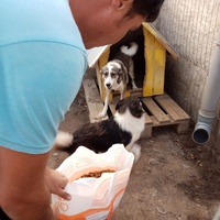 photo de livraison pour Daniela Elena Sandoiu