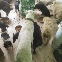 photo de livraison pour ПРИХВАТИЛИШТЕ ДРАЖЕВАЦ