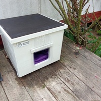 photo de livraison pour Chats Oubliés