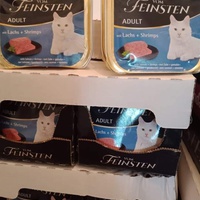 photo de livraison pour Les Chats-Pitresdelavi-Ste