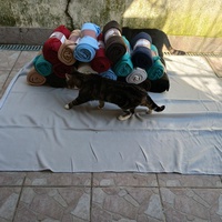 photo de livraison pour Les Amis de Michouette
