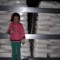 photo de livraison pour Antonia Save Animals