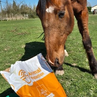 photo de livraison pour Arche et Relais