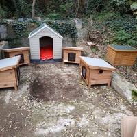 photo de livraison pour Les Chats Libres d'Estagel
