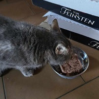 photo de livraison pour Amis de Myrtille