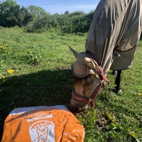 photo de livraison pour Espoir au Galop