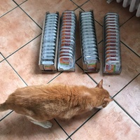 photo de livraison pour Paroles de Chats