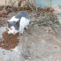 photo de livraison pour Kawthar Maree