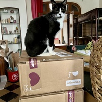 photo de livraison pour Association C.A.T.S. Chat Animal Terrien Solidarité