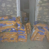 photo de livraison pour 4 Pattes Mogador