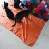 photo de livraison pour Les Amis de Michouette