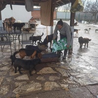 photo de livraison pour ПРИХВАТИЛИШТЕ ДРАЖЕВАЦ