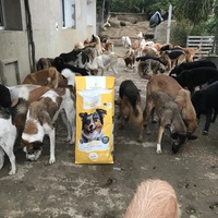 photo de livraison pour Sanctuaire de la Faune de Tanger (SFT)