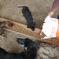 photo de livraison pour Mariuta