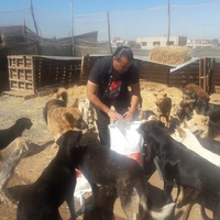photo de livraison pour Association Mira Protection des Animaux et de l'Environnement
