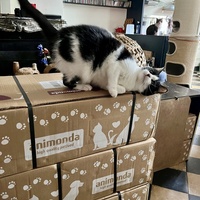 photo de livraison pour Association C.A.T.S. Chat Animal Terrien Solidarité