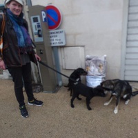 photo de livraison pour Loulous.eu