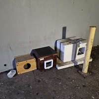 photo de livraison pour Les Chats de Dugny