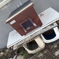 photo de livraison pour Chat Gratouille