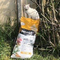 photo de livraison pour Les Chats Libres de Joinville