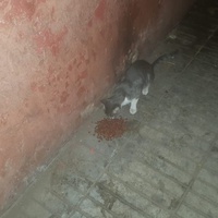 photo de livraison pour Ghita Muller El Jirari