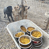 photo de livraison pour Svetlana Bjelogrlic