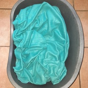 photo de livraison pour Les Pattes de la Liberté 