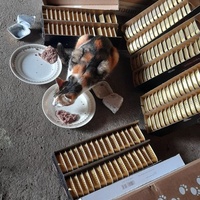 photo de livraison pour La Bleue