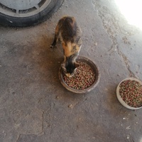photo de livraison pour Hajar Aourz