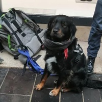 photo de livraison pour Croquette et Macadam