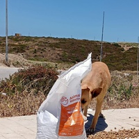 photo de livraison pour Sanctuaire de la Faune de Tanger (SFT)