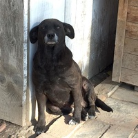 photo de livraison pour Azil Bella