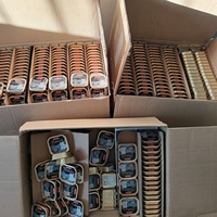 photo de livraison pour Les félins de la petite Venise