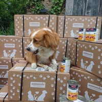 photo de livraison pour Raggie Dog Retreat