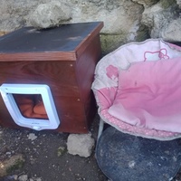 photo de livraison pour Les Chats-Pitresdelavi-Ste