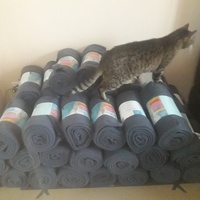 photo de livraison pour Les Amis de Michouette