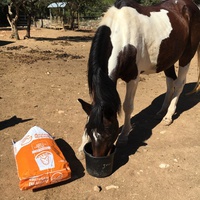 photo de livraison pour Equi-Vivre