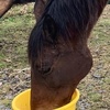 photo association