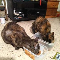 photo de livraison pour Au Rendez-vous des Animaux