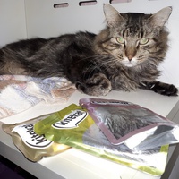 photo de livraison pour Ecole du Chat de Poitiers