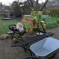 photo de livraison pour Ecole du Chat d’Arbois