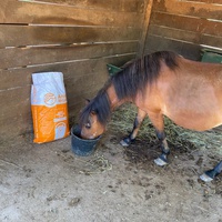 photo de livraison pour Equi-Vivre