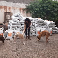 photo de livraison pour Help Adopt Moroccan Animals