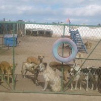photo de livraison pour AHPPAE