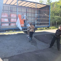 photo de livraison pour Nicoleta Stefanescu