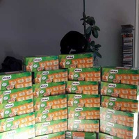 photo de livraison pour Les Chats Libres de la Canterrane